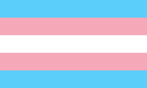 A picture of the trans flag